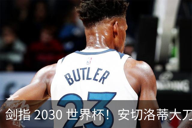 剑指 2030 世界杯！安切洛蒂大刀阔斧改造巴西，换血方案引巨大分歧